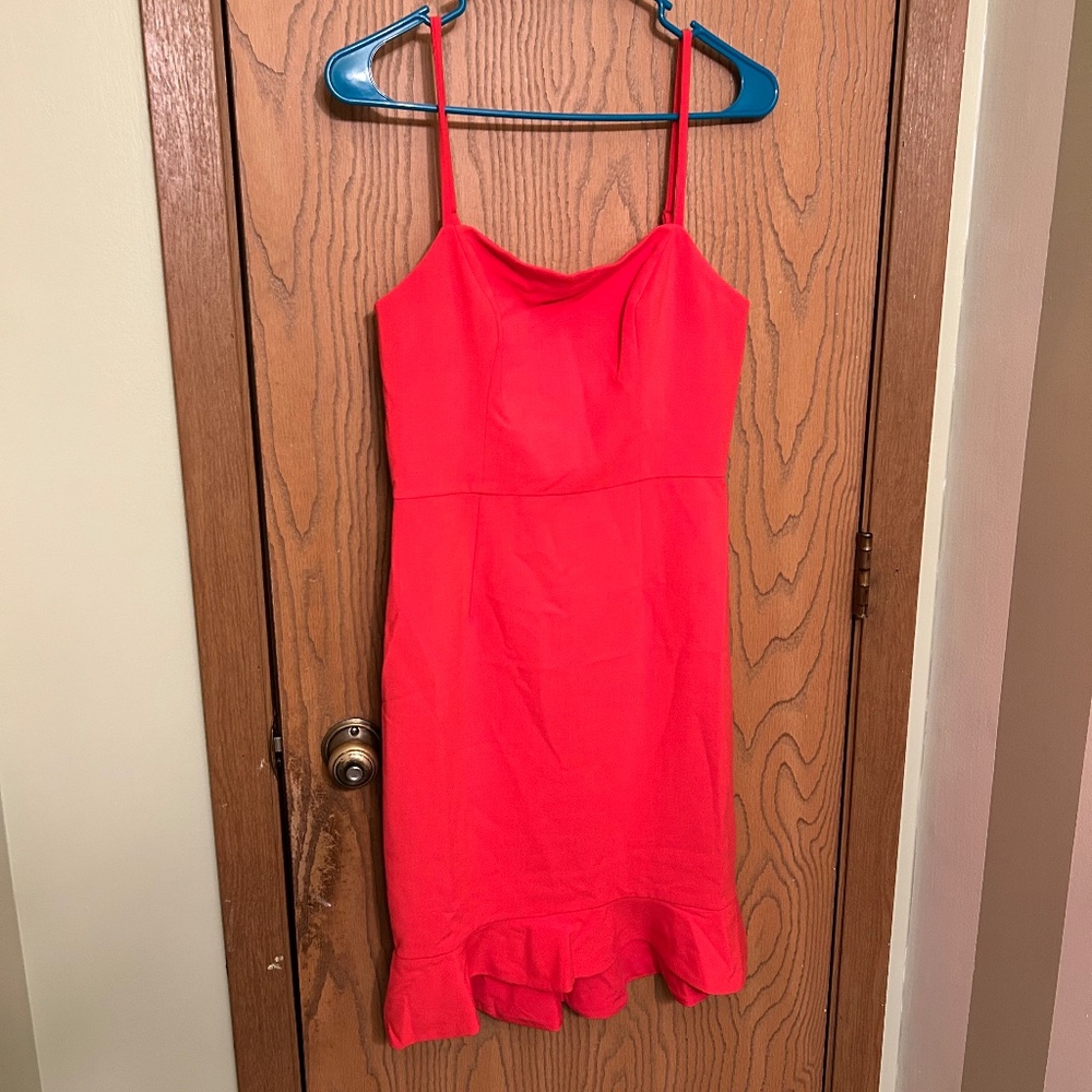 Pink/Red Formfitting Dress
